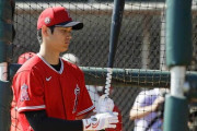 大谷翔平の今シーズン成績予想