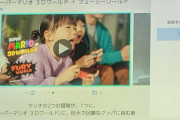 ぶーちゃん、スーパーマリオ3Dワールド予約したか見せて