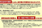【動画】生レバーを食う韓国人、クッソ美味そう