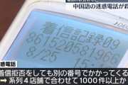 【悲報】中国人、福島のラーメン店に100台で迷惑電話
