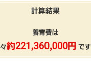 大谷翔平の養育費、月2億円超えｗｗｗｗｗｗｗｗｗｗｗｗｗｗｗｗｗ