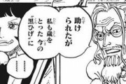 【唖然】年をとった黒ひげ、冥王レイリーでも勝てないことが判明か？？？