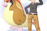序盤に出てくる鳥ポケモン必ず育てるやつ