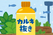 金魚だけど今時カルキ抜かないで水槽に水張る馬鹿いるんだな