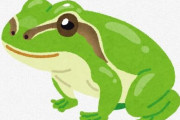 カエルの画像見る←かわいい  実際にカエルを見る←うわっ…