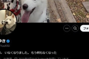 【悲報】すすきのガールズバー放火おぢ(41)、愛犬はんぺんが死んで絶望しての犯行だった