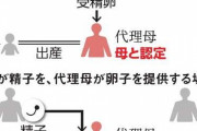代理出産、浮上した限定容認論　専門家が懸念する「感情の搾取」