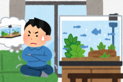 「水槽サイズアップしたい！水槽増やしたい！新しい魚買いたい！」 ← これどうやって克服できる？