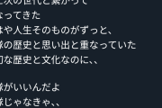 【画像】中川翔子さん「スーパー戦隊終了とか許せない！」→1週間後