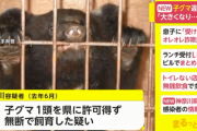 「いつか殺さなければならないと思っていた」 無許可で飼っていた子グマを射殺した男らを逮捕