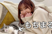 【さしはらちゃんねる】指原莉乃さん、大人気猫「もちまる」とのコラボ動画を公開【もちまる日記】