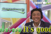 GAORAの実況「ゴーンヌ！ ジャストルッキング！」← お前らよく許せるな