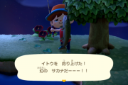 あつまれどうぶつの森 本日がラストチャンス 北半球で3月までのいきもの 限定レア魚イトウやチョウザメを釣ろう