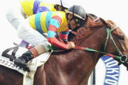 00年ダービー馬アグネスフライト死す