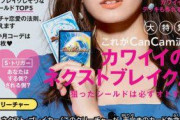 トラウデン直美さんに対する正直なイメージを教えてくれ