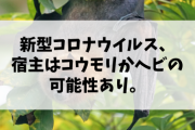 【速報】新型コロナウイルス、宿主はコウモリかヘビの可能性あり。