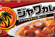 【辛報】最強のカレールー、「ジャワカレー」に決定する