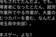 【悲報】京大博士元研究者「精神障害になって就労支援施設でおむつカバー畳んでます」