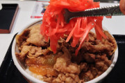 牛丼屋で紅しょうがアホみたいに入れてるそこのお前