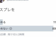 28歳女性コスプレイヤー「中学生に見苦しいからコスプレやめろと言われました。多数決で進退を決めます」