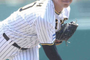 プロ3年目阪神・佐藤蓮が来季育成契約へ　今季2軍で9試合、防御率5・17