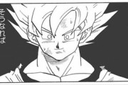 【ドラゴンボール】大手企業面接官「セル編の戦犯を挙げてください」ワイ「ベジータですッッ！！！」