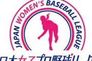 【悲報】事実上崩壊の女子プロ野球　退団選手への誹謗中傷、幹部の私物化等、沢山の問題が起きていた