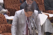 林外相「駐日米国大使について、何が内政干渉に当たるかを述べるのは困難である」