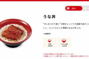 【朗報】日本人「うなぎ食べたいけど高くて買えない…」 すき家「任せろ」