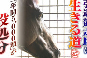 【悲報】年間5000頭の競走馬が殺処分されていることが判明してしまう、、、