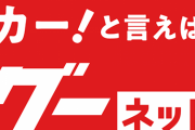 【結果】グーネットで中古車買ったら‥‥アカンかった😭
