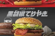 【朗報】マクドナルドさん、またとんでもない期間限定商品を出してしまう