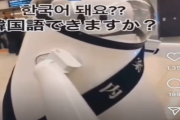 韓国人の反応「羽田空港のロボットが可愛い」→人間が？？？