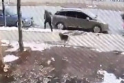 【動画】野良犬の殺処分を違法にしたトルコで起きた事故が悲劇すぎる。
