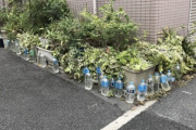 外国人「日本の街角で見かけるこの謎の光景は何？？？」