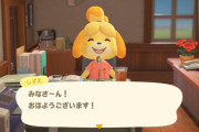 本名が「しずえ」の人って『どうぶつの森』の自分のキャラ名どうしてるの？