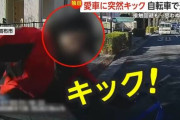 自転車でスマホ見ながら一方通行を逆走し車にぶつかりそうになったチャリカスさん、逆ギレし車を蹴飛ばし逃走ｗｗｗｗｗｗｗ