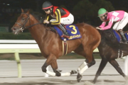 横山武史騎手ダート三冠成績　他
