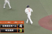 【vs西武】日ハム、8回に玉井が山川に一発を浴びて1点差に…