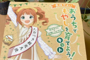 【アイマス】高槻やよい「おうちでもやしを育てよう！キット」を１個1,650円（税込）で販売！