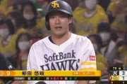 柳田悠岐 バットとも仲良く特大弾含む猛打賞！