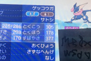 ポケモンてストーリークリアした後のやりこみ要素てあるの？