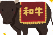 江藤農水相「和牛の在庫が倉庫にこれ以上入らない。成牛を肉にできない。このままでは和牛文化そのものがなくなる」