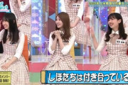 【日向坂46】ひなあい、神回企画が渋滞してしまう
