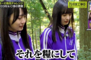 【乃木坂46】かきさくは、派手さは無いが癒されるよな。