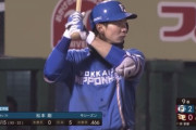 パ・リーグ首位打者松本剛←これ