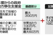 地方移住、子1人に100万円　東京集中是正へ支援拡充