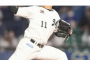 【誤植】ロッテ佐々木千隼投手、99%以上のダウンでサイン