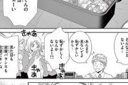 【弁当】なんだよこの漫画ｗｗｗ【注意】