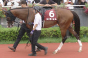 【菊花賞】メリオーレム落馬負傷の川田から藤岡佑介へ乗り替わり
